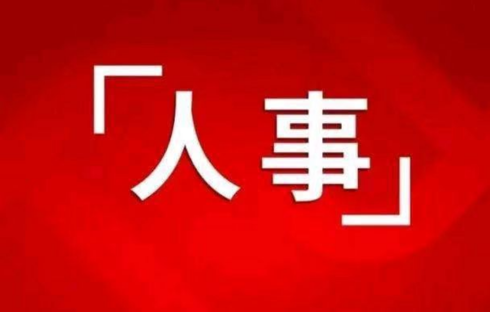 9名央企领导职务任免