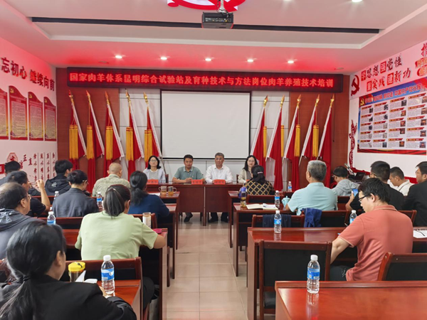 国家肉羊产业技术体系育种技术与方法岗位科学家及昆明综合试验站科技人员在保山市隆阳区开展肉羊养殖技术培训