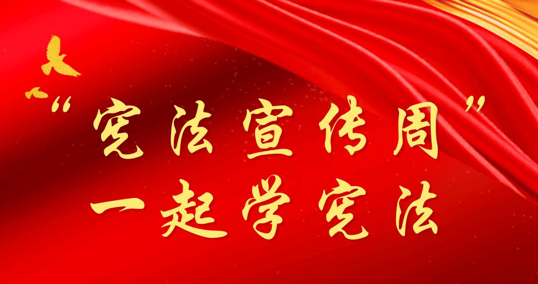 2025年全国“宪法宣传周”活动12月1日启动