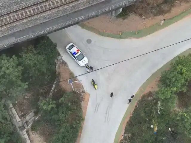 63岁男子上山伐木后失联，15岁儿子紧急报警，称曾接到微信视频求助“身体不舒服，快要晕倒”